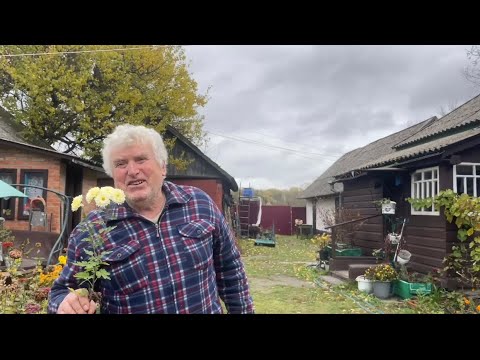 Видео: Такими 🍄‍🟫 грибами и угостить не грех! Технологии,заказала обед прям из леса! В гости,ответный визит