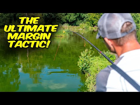 Видео: Лучшая маржинальная тактика! | Рыбалка на пасту осенью