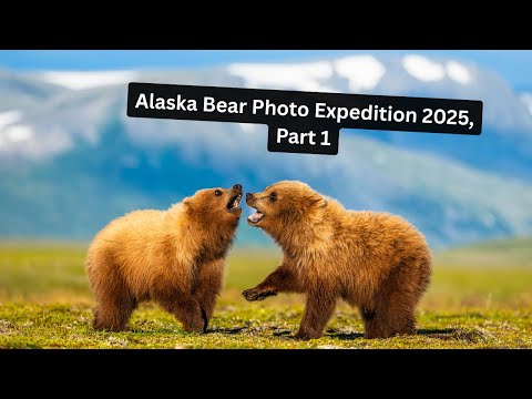 Видео: Экспедиция по фотографированию бурых медведей на Аляске, часть 1. Могут ли фотографии дикой приро...