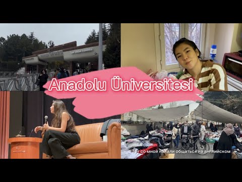 Видео: Anadolu University // Продливаю ВНЖ // Турецкий базар  #внжтурции #anadoluüniversitesi  #eskişehir