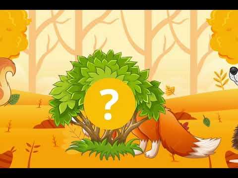 Видео: Заняття з розвитку мови ( середня група).Тема : " Дикі тварини".