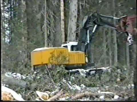 Видео: Леспромхоз Кирсантьево.