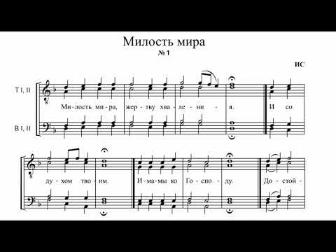 Видео: иг.Силуан (Туманов) Милость мира №1
