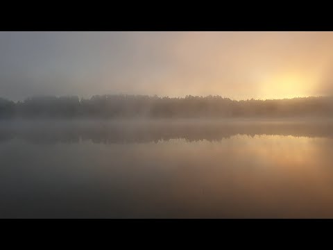 Видео: Отличная рыбалка на карася в Самарской области. Отдохнул душой и телом.