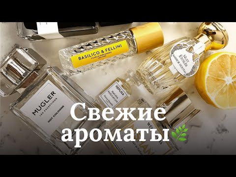 Видео: СВЕЖИЕ АРОМАТЫ | FRESH FRAGRANCES | RENARD NOIR