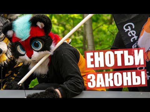 Видео: Енотьи ЗАКОНЫ ✅ ФУРРИ Прогулка в МОСКВЕ