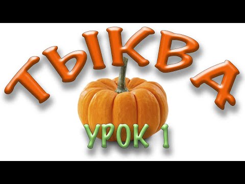 Видео: ТЫКВА Урок 1