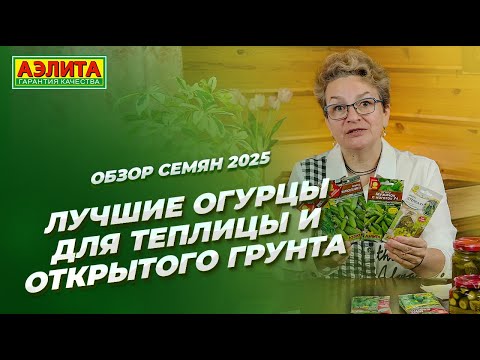 Видео: ОГУРЦЫ ДЛЯ ОТКРЫТОГО ГРУНТА И ТЕПЛИЦЫ. Обзор ЛУЧШИХ семян 2025!