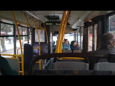 Видео: МАЗ-206.086 Е 256 НН 123, маршрут 23 Сочи