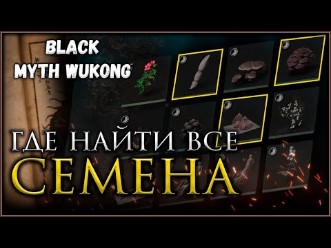 Видео: Как собрать все СЕМЕНА в игре Black Myth Wukong, Достижение Что посеешь #blackmythwukong