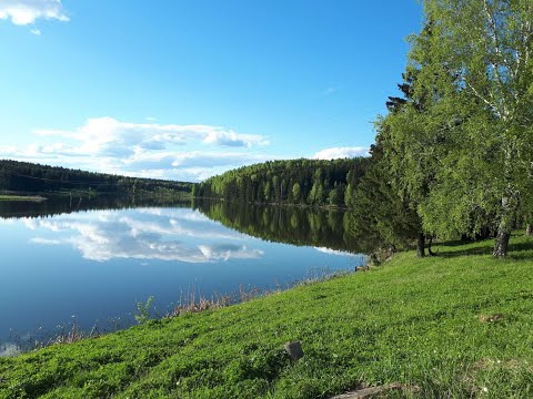 Видео: Шаля-матушка_ В. Вахрушев (авторская) фото_Л. Логинов