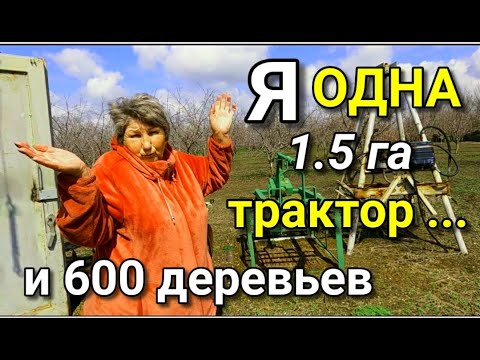 Видео: С неё нужно брать пример! Одна женщина ухаживает за участком 1.5 га, где посажено 600 деревьев.