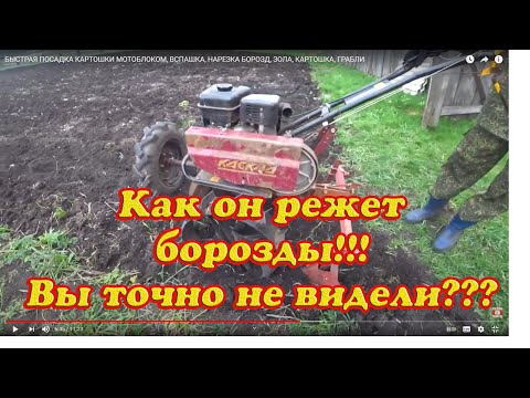 Видео: БЫСТРАЯ ПОСАДКА КАРТОШКИ МОТОБЛОКОМ, ВСПАШКА, НАРЕЗКА БОРОЗД, ЗОЛА, КАРТОШКА, ГРАБЛИ