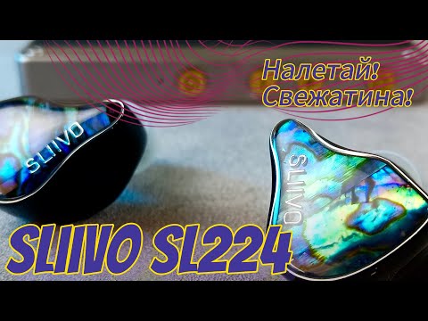 Видео: Обзор MYER-AUDIO Sliivo SL224: Долгожданное лакомство😋