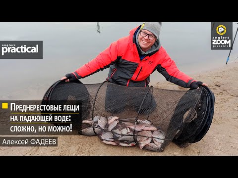 Видео: Преднерестовые лещи на падающей воде: сложно, но можно! Алексей Фадеев. Anglers Practical