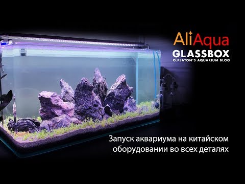 Видео: AliAqua - 4: Запуск аквариума на китайском оборудовании во всех деталях