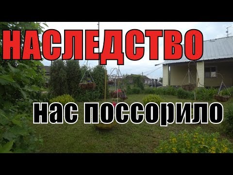 Видео: Что досталось нам по наследству от родителей.