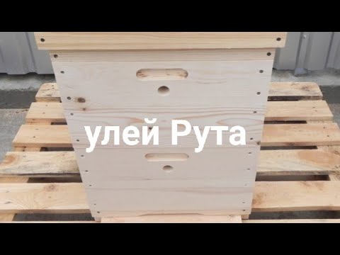 Видео: Улей Рута, он же многокорпусный. Плюсы и Минусы. Кашковский В.Г.