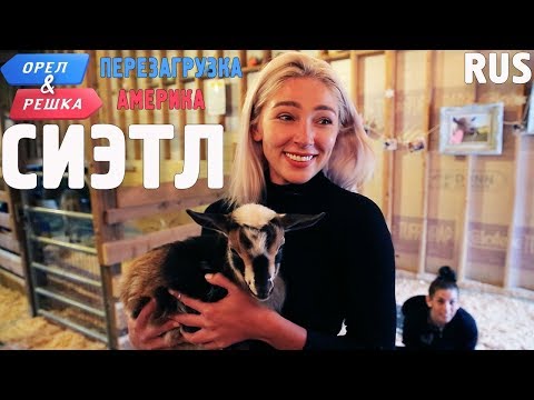 Видео: Сиэтл. Орёл и Решка. Перезагрузка. АМЕРИКА. RUS