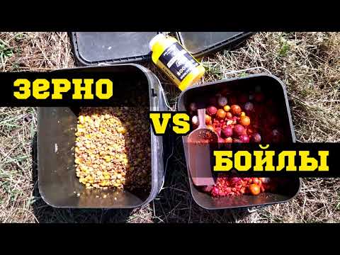 Видео: Карпфишинг 2021 на Жуковском.  Зерно или Бойлы.  CARP FISHING 2021. BATL. Corn vs Boilies.