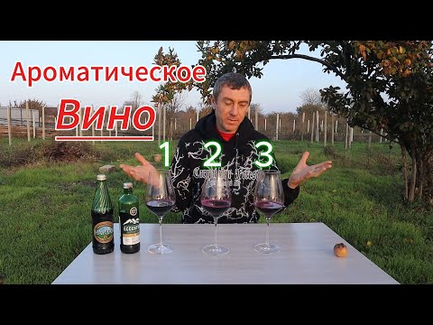 Видео: Ароматические вина /Что получилось?