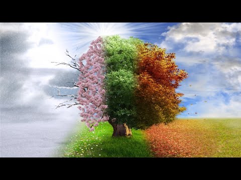 Видео: Ты - не листья...