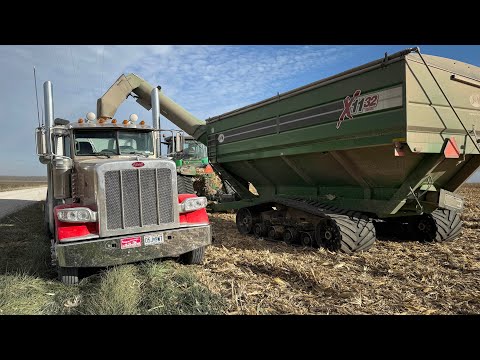 Видео: Урожай с другой точки зрения
