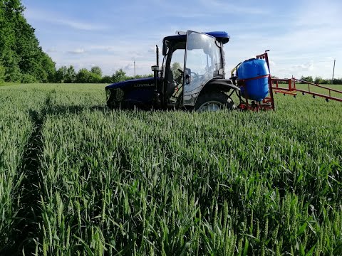 Видео: Обробка пшениці по колосу Трактор Lovol 504 + навісний Польский оприскувач Polmark 400 л.