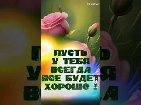 Видео: Доброе утро !🍀🌺🍀🦋💛#пожелания #пожеланиедлядрузей #доброеутро