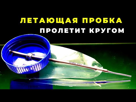 Видео: Кормушка КРЫЛАТАЯ ПРОБКА пролетит как фанера над Парижем