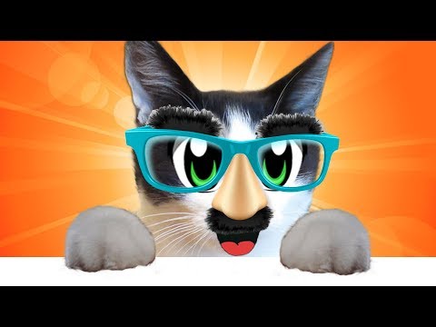 Видео: ЛУЧШИЕ ПРИКОЛЫ С КОТОМ МАЛЫШОМ! НОВЫЕ РОЗЫГРЫШИ КОТОВ! НОВЫЙ ЧЕЛЛЕНДЖ - Выбираем лучший розыгрыш