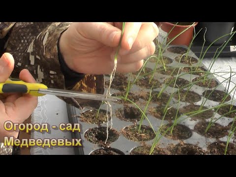 Видео: Несколько правил пикирования луков