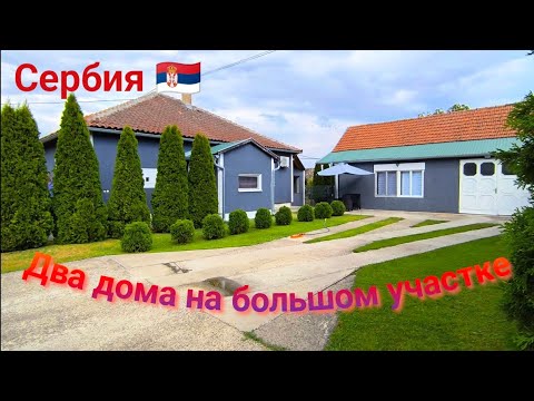 Видео: Два ухоженных дома на красивом участке #домавсербии #сербия