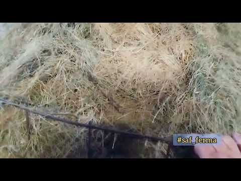 Видео: Кормушки для овец (для сена и соломы),без лишних затрат.