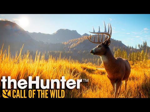 Видео: ОЗЕРНЫЙ КРАЙ ЛЕЙТОН ЛЕЙК