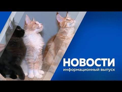 Видео: Новости от 8.08.2024г.