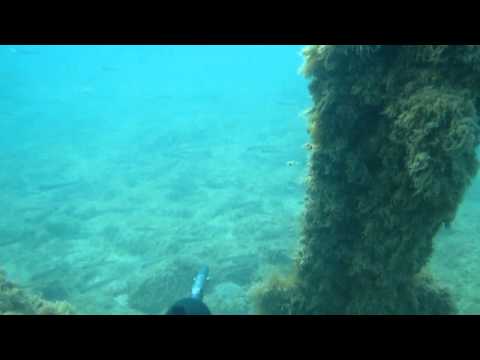 Видео: Актау подводная охота  кефаль на ружо 4.wmv