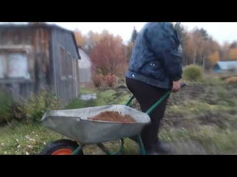 Видео: Готовлю грядку для чеснока. Спасибо моей подписчице за полезный совет.