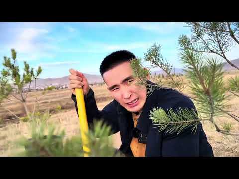 Видео: Үнэн бай