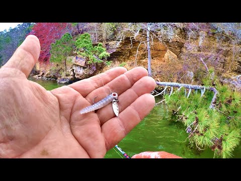 Видео: Рыболовная наживка, перед которой краппи просто не сможет устоять!