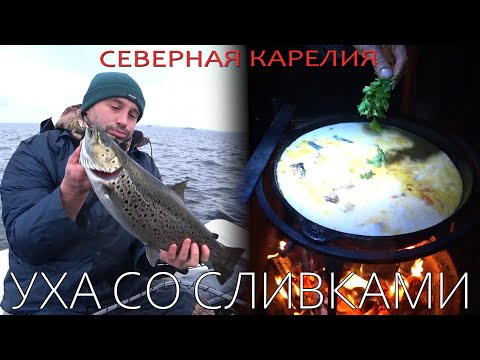 Видео: ВЕТЕР СТИХ И МЫ ВЗЯЛИ КУМЖ! УХА СО СЛИВКАМИ, ХАРИУС МАЛОСОЛКА, СТАРЫЙ ХУТОР И ХОРОШЕЕ НАСТРОЕНИЕ!