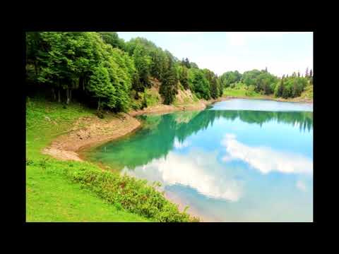 Видео: Бехтарин суруд (Агарки пулдор боши)