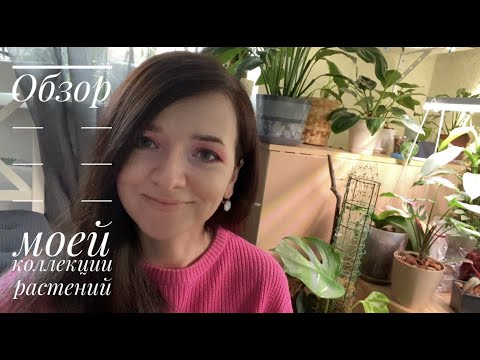 Видео: Обзор моей коллекции растений март 2023