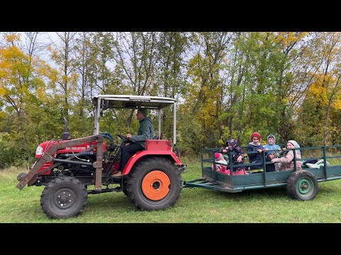 Видео: Хотели отдохнуть на природе, а застряли в болоте! Пикник всей семьёй!