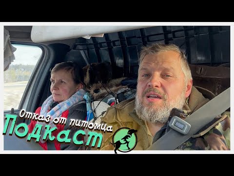 Видео: Почему люди отказываются от питомцев? Самые необычные истории из жизни от Хвастатого Счастья