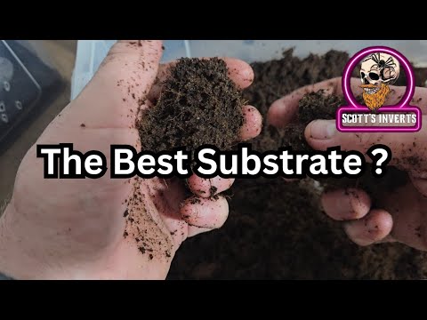 Видео: Субстрат, который я сейчас использую, это ЛУЧШИЙ?
