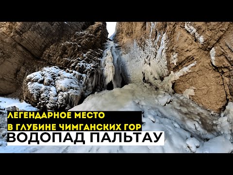 Видео: Зимний поход к водопаду Пальтау - обзор маршрута #travel #uzbekistan #vlog