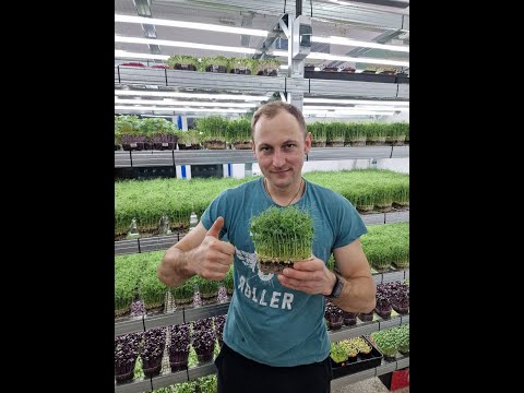 Видео: Как я открыл ферму микрозелени в Варшаве