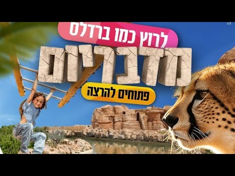 Видео: Мидбариум - зоопарк-сафари в Беер Шеве.