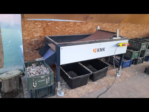 Видео: Щеточный стол для чеснока.